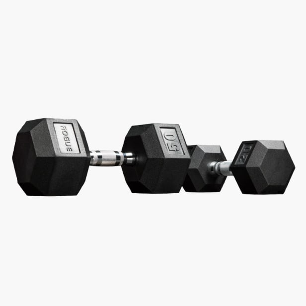 Dumbbells hotsell rogue fitness